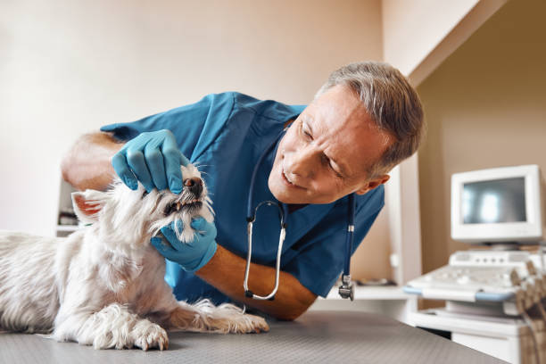 Best Knocked-Out Tooth (Avulsed Tooth) Treatment in Brownfield, TX